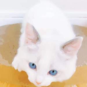 HD欧美❌❌❌❌❌
